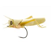 Sauterelle Olive 1