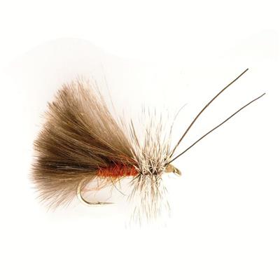 Sedge High Rider CdC Marron