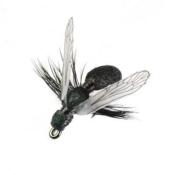 Ant Black